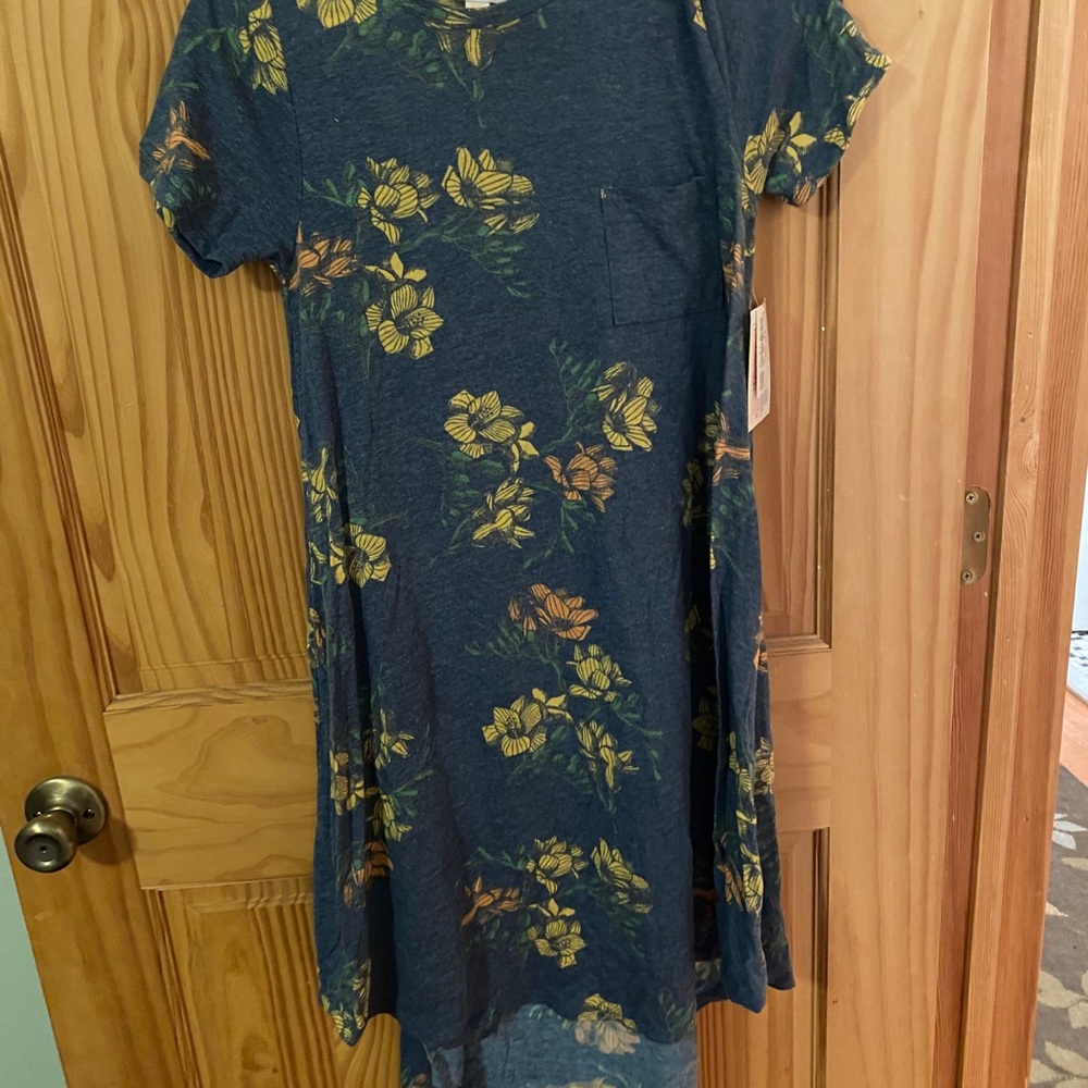 NWT Lularoe Carly